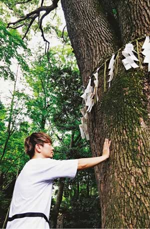 代々木八幡宮の神木に触れるショックアイ