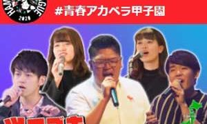 ツワブキのメンバー