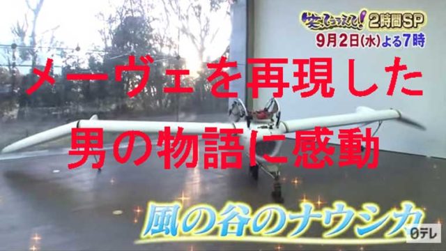 駐機中の本物のメーヴェ